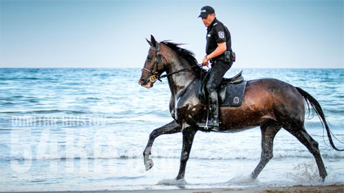 Police officers riding horses on the beach
